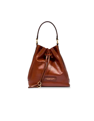 The Bridge Fiammetta small bucket bag, brown